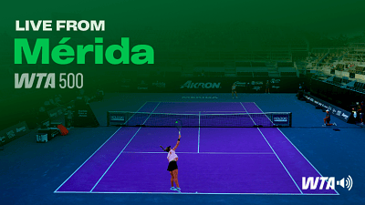 tennis stream net
